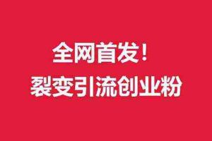(9061期)(全网首发)外面收费几千的裂变引流高质量创业粉