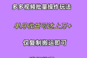 （10029期）拼多多视频带货快速过爆款选品教程 每天轻轻松松赚取三位数佣金 小白必…