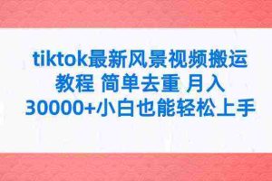 （9804期）tiktok最新风景视频搬运教程 简单去重 月入30000+附全套工具