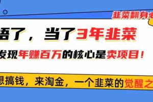 （10759期）悟了，当了3年韭菜，才发现网赚圈年赚100万的核心是卖项目，含泪分享！