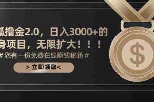 （11196期）搜狐撸金2.0日入3000+，可无限扩大的翻身项目