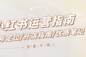 （12042期）小红书运营指南，账号定位/开店指南/优质笔记/没有套路，全是经验