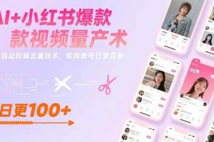（15542期）AI+小红书爆款视频量产术：全自动剪辑去重技术，矩阵账号日更百条