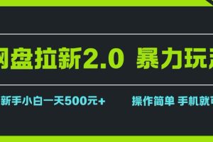 （15759期）网盘拉新2.0，暴力玩法，新手小白一天轻松500，操作简单