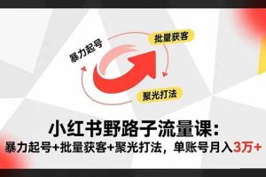 （16513期）小红书野路子流量课：暴力起号+批量获客+聚光打法，单账号月入3万+